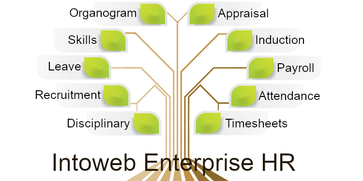 Enterprise HR Software Software South Africa